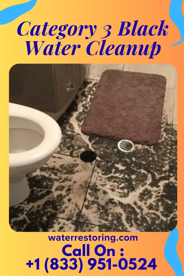 Category 3 Black Water Cleanup in Monona, WI