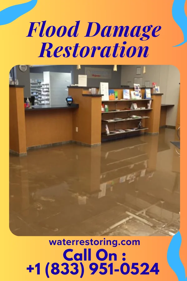 Flood Damage Restoration in Monona, WI