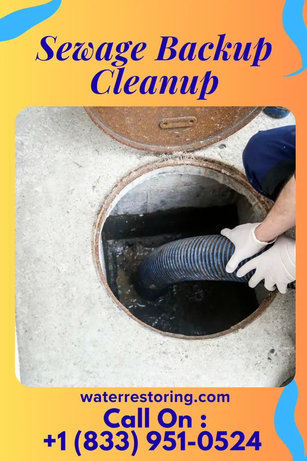 Sewage Backup Cleanup in Monona, WI
