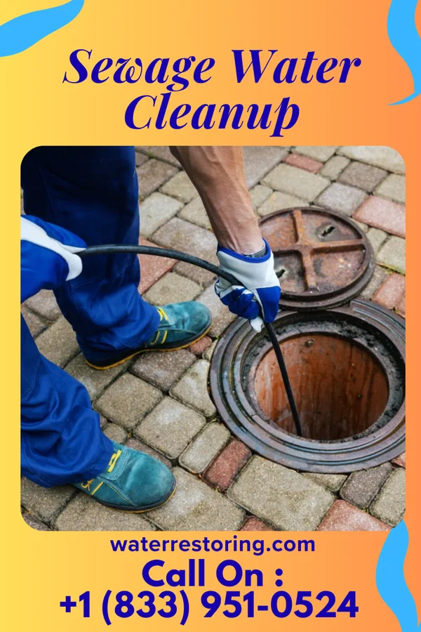 Sewage Water Cleanup in Monona, WI