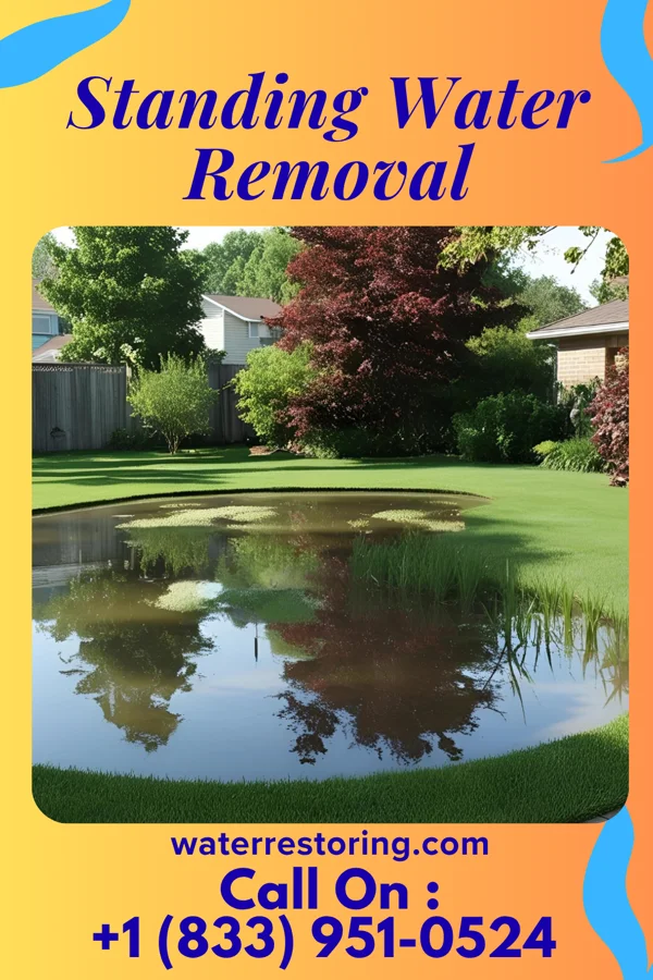 Standing Water Removal in Monona, WI
